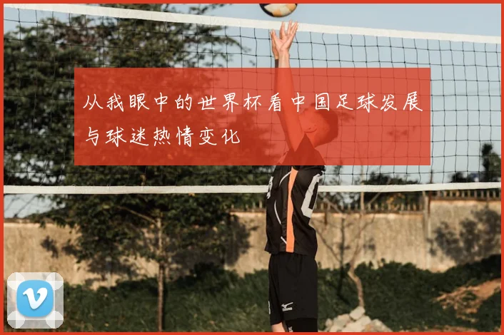 从我眼中的世界杯看中国足球发展与球迷热情变化