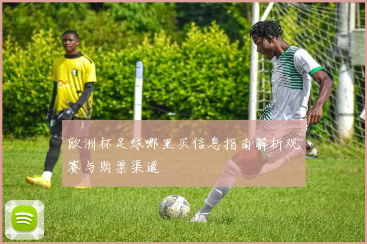 欧洲杯足球哪里买信息指南解析观赛与购票渠道