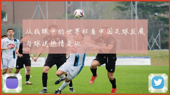 从我眼中的世界杯看中国足球发展与球迷热情变化