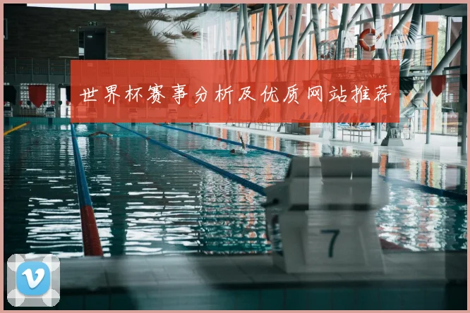 世界杯赛事分析及优质网站推荐