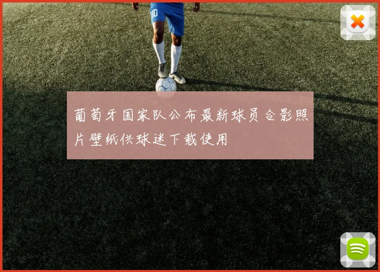 葡萄牙国家队公布最新球员合影照片壁纸供球迷下载使用