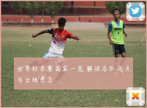 世界杯参赛国家一览 解读各队亮点与出线悬念