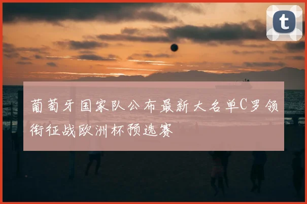 葡萄牙国家队公布最新大名单C罗领衔征战欧洲杯预选赛