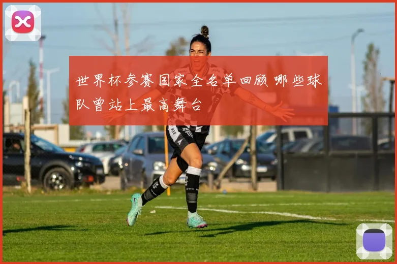 世界杯参赛国家全名单回顾 哪些球队曾站上最高舞台