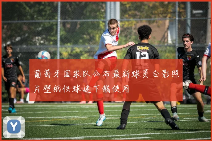 葡萄牙国家队公布最新球员合影照片壁纸供球迷下载使用