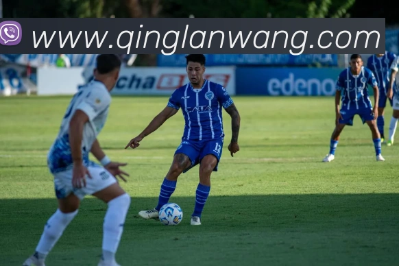 开云app官方入口网页版品牌故事