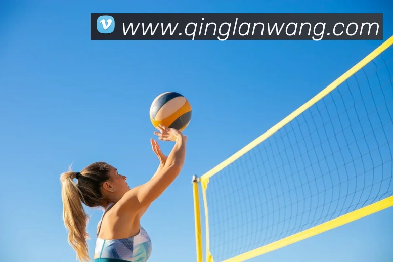 开云app官方入口网页版服务体系