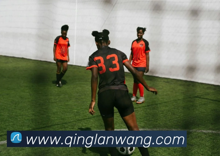 开云app官方入口网页版APP 体育赛事宣传图